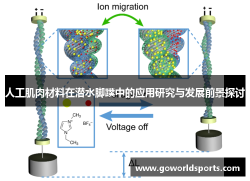 人工肌肉材料在潜水脚蹼中的应用研究与发展前景探讨